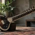 Sitar Electric: A Complete Buyer's Guide