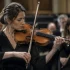 Large Violin: A Complete Buyer's Guide