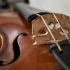 Bridge Violin for Beginners: A Complete Guide
