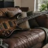 Prs Electric Bass: A Complete Buyer's Guide