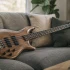 Prs Bass for Beginners: A Complete Guide
