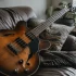 Semi Hollow Electric Bass: A Complete Buyer's Guide