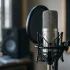 Lewitt Mics for Beginners: A Complete Guide