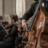 Stand Bass Guitar: A Complete Buyer's Guide