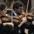 Full Size Violin for Beginners: A Complete Guide