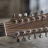 Taylor 12 String Guitars: A Complete Buyer's Guide