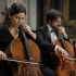 Bass Cello: A Complete Buyer's Guide