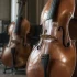 Bass Cello for Beginners: A Complete Guide