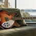 12 String Rickenbacker for Beginners: A Complete Guide