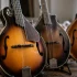Mandolin Guitars: A Complete Buyer's Guide