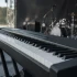 Digital Grand Piano: A Complete Buyer's Guide