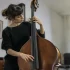 Stand Up Bass Strings for Beginners: A Complete Guide