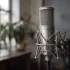 Large Diaphragm Condenser Microphones: A Complete Buyer's Guide