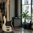 Fender Telecaster Bass Guitar: A Complete Buyer's Guide