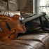 Hollow Body Bass Guitar: A Complete Buyer's Guide