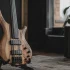 5 String Fretless: A Complete Buyer's Guide