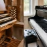 Organ Or Piano for Beginners: A Complete Guide