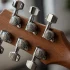 Locking Tuning Machine Heads: A Complete Buyer's Guide