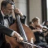 Electric Double Bass: A Complete Buyer's Guide