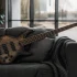 Bass Schecter: A Complete Buyer's Guide