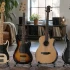 Bass Types Guitar for Beginners: A Complete Guide