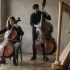 Large String Instrument for Beginners: A Complete Guide