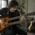 Double Neck Guitar: A Complete Buyer's Guide