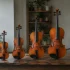 Size Of Violin for Beginners: A Complete Guide