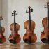 Violin Measurements for Beginners: A Complete Guide