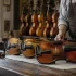 Violin Hire Rates: A Complete Buyer's Guide