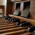 Music Organ For Sale for Beginners: A Complete Guide