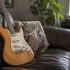 Everything You Need to Know About Double Cut Guitar