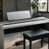 Everything You Need to Know About Korg B1 Digital Piano