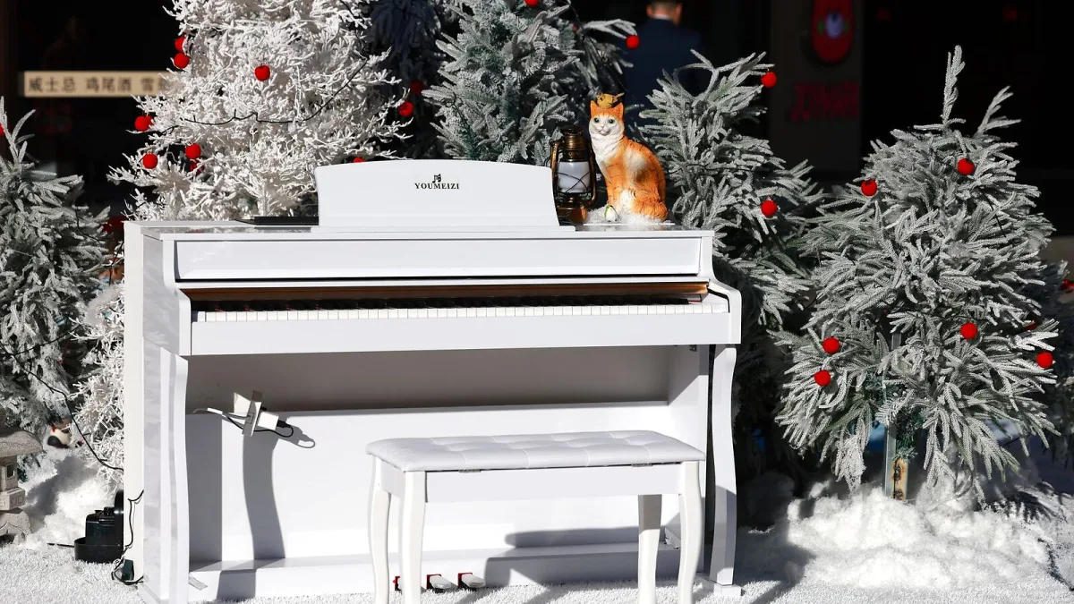 Roland Digital Piano Explained: Features, Types and Tips